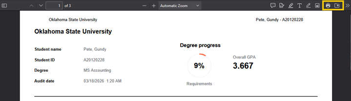 dw-s-audit3.png